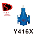 Y416p(wn)y